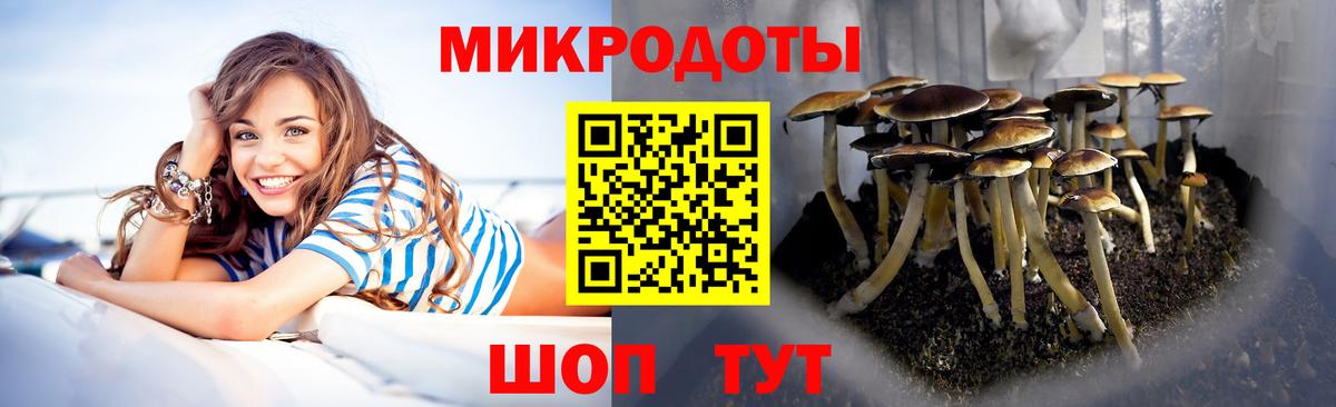 где найти   Вход с VPN  Кизилюрт  Псилоцибиновые грибы мицелий  Галлюциногенные грибы Psilocybine cubensis 